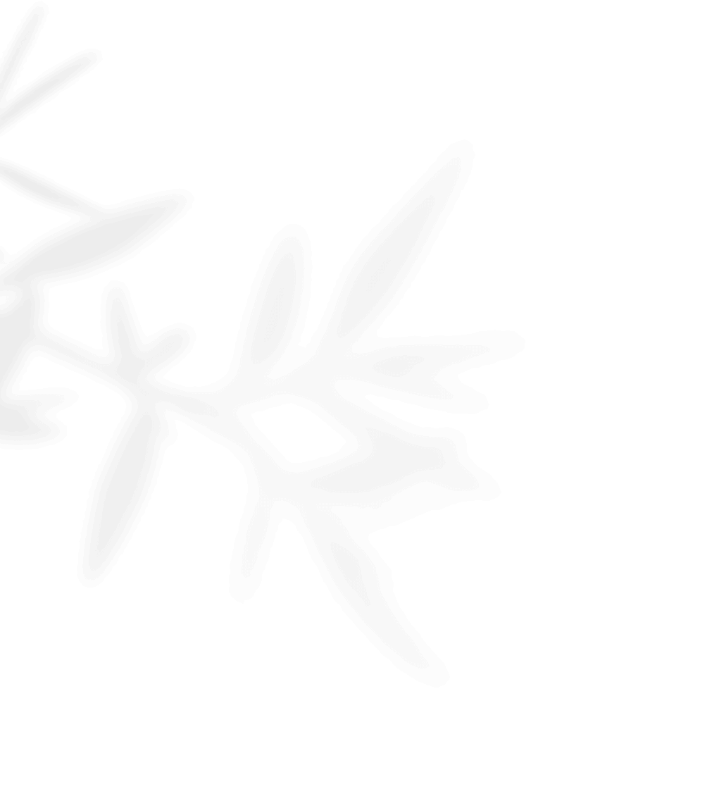 shadow_leaves_01 https://www.bigswitching.com/wp-content/uploads/2020/11/shadow_leaves_01.png