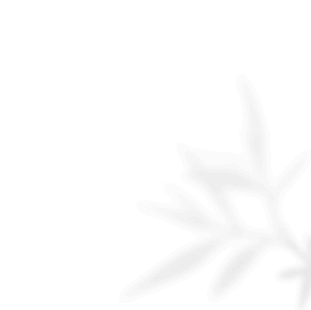https://www.bigswitching.com/wp-content/uploads/2020/11/shadow_leaves_02.png