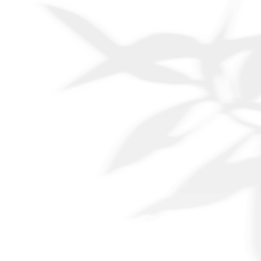 shadow_leaves_03 https://www.bigswitching.com/wp-content/uploads/2020/11/shadow_leaves_03.png