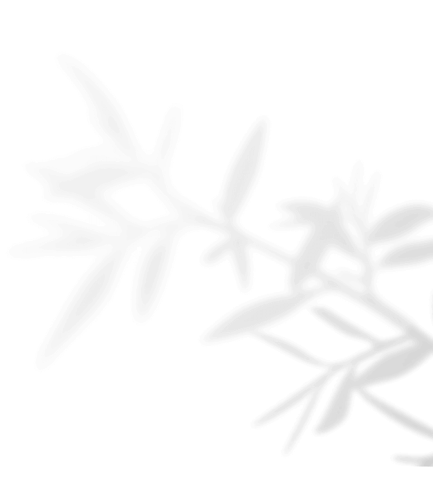 shadow_leaves_04 https://www.bigswitching.com/wp-content/uploads/2020/11/shadow_leaves_04.png