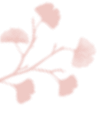 floating_image_03 https://www.bigswitching.com/wp-content/uploads/2020/12/floating_image_03.png