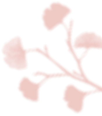floating_image_04 https://www.bigswitching.com/wp-content/uploads/2020/12/floating_image_04.png