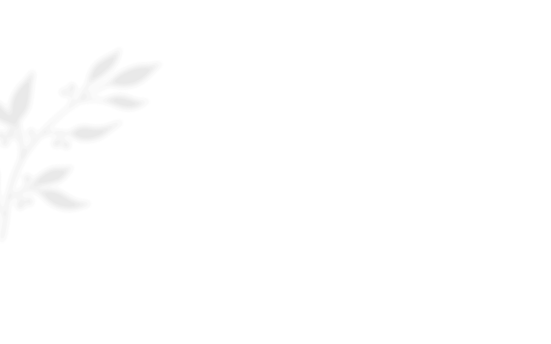 shadow_leaves_01 https://www.bigswitching.com/wp-content/uploads/2020/12/shadow_leaves_01.png