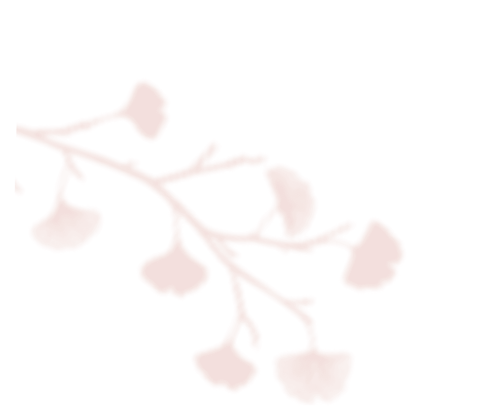shadow_leaves_06 https://www.bigswitching.com/wp-content/uploads/2020/12/shadow_leaves_06.png