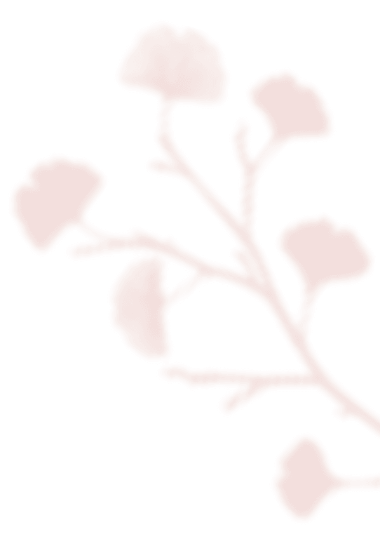 https://www.bigswitching.com/wp-content/uploads/2020/12/shadow_leaves_07.png